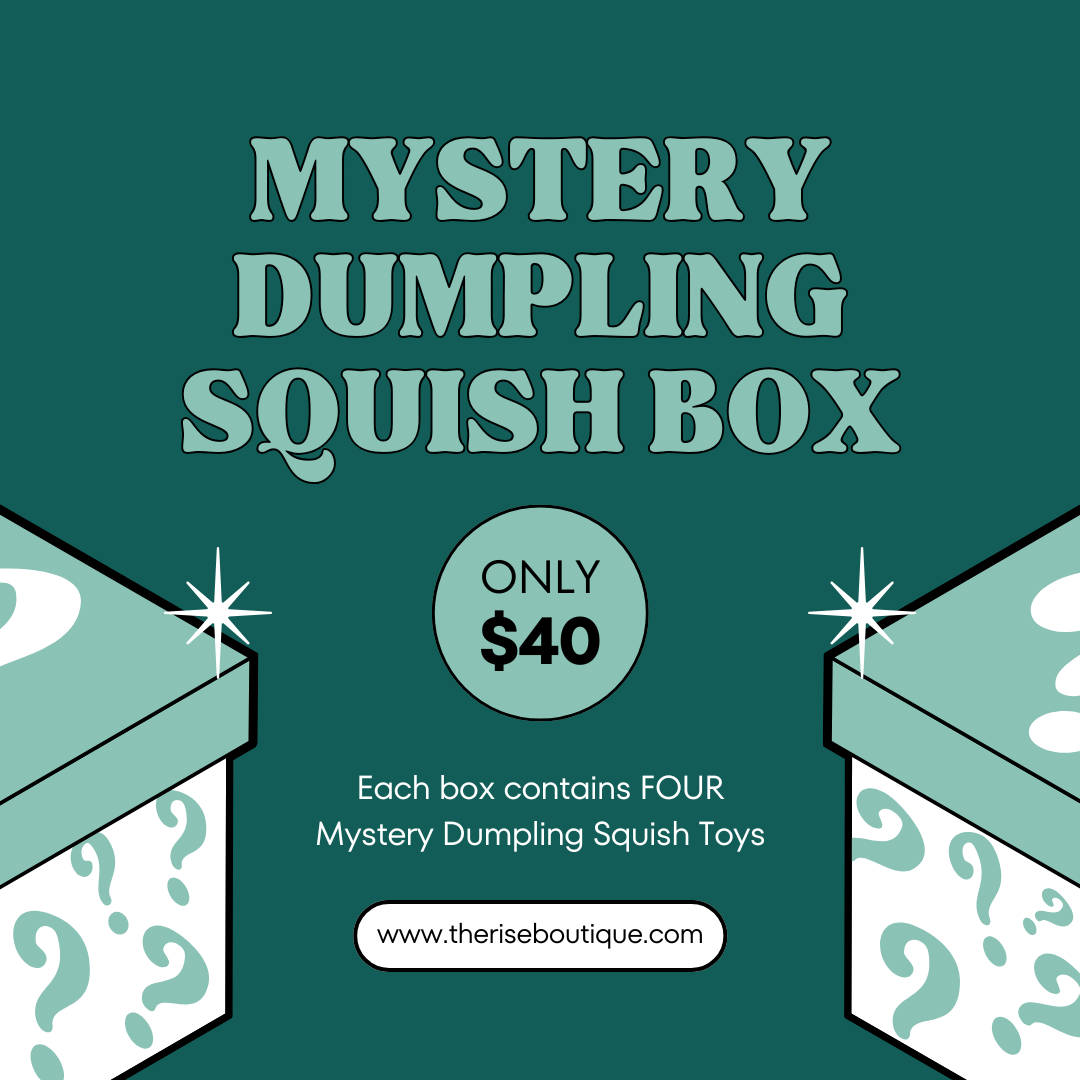 Mystery Dumpling Squish Toy Box