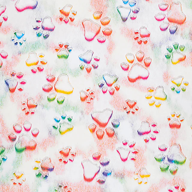 SMALL Minky Blanket Prism Paws Vibrant/Peacock Hide