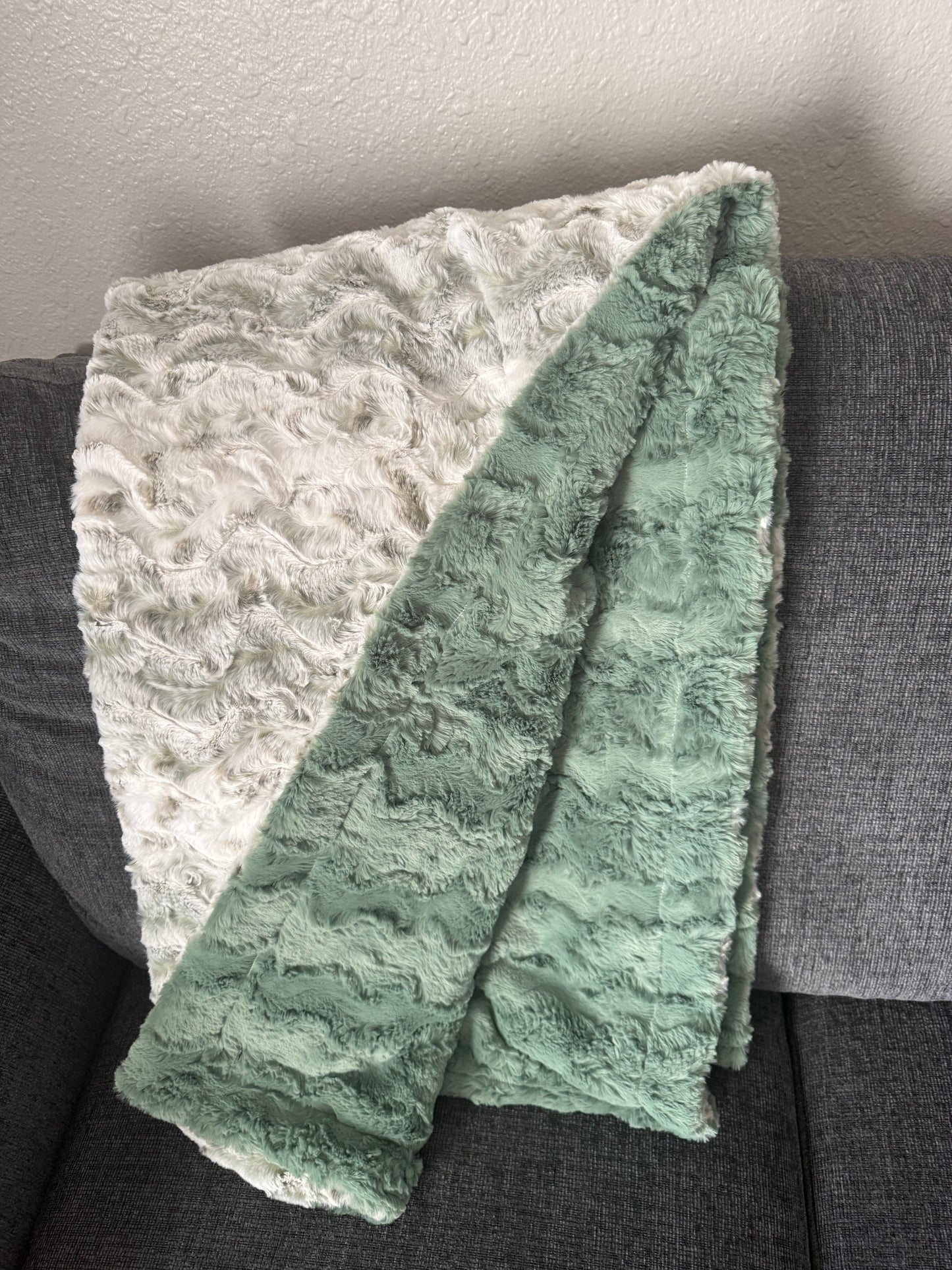 SMALL Minky Blanket Basil Snowy Owl & Basil Glacier