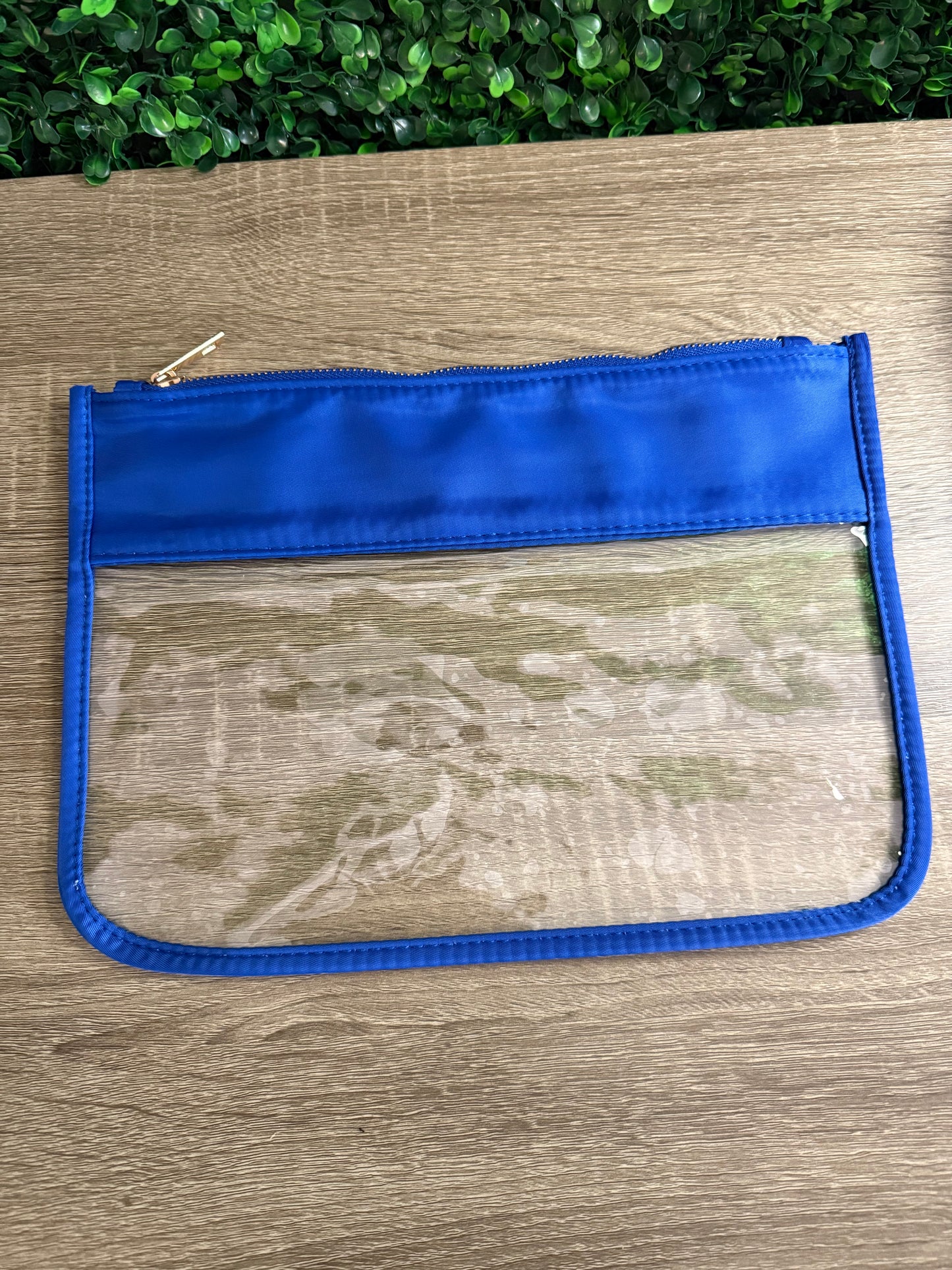 Nylon Clear Bag in Royal Blue