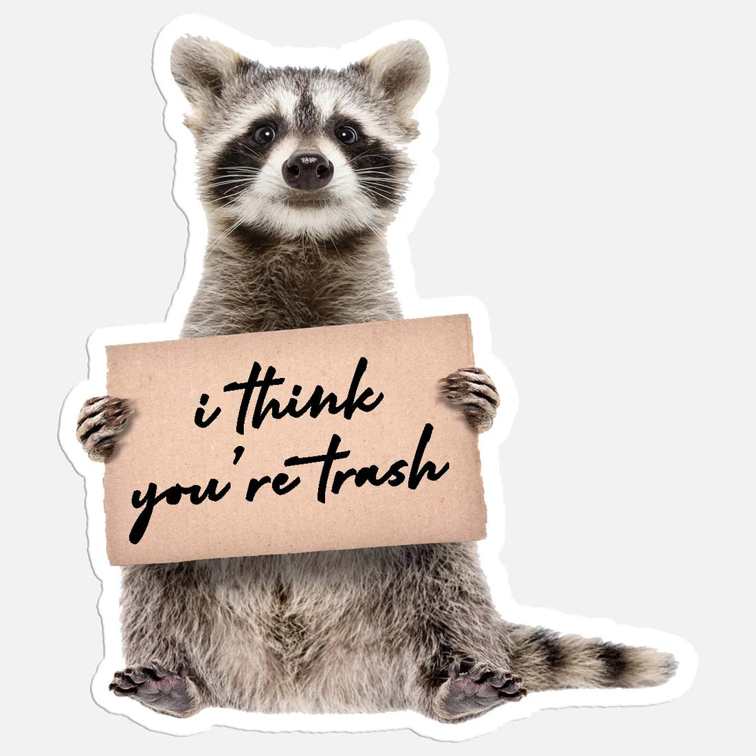 I Think You're Trash Raccoon Sticker Decal
