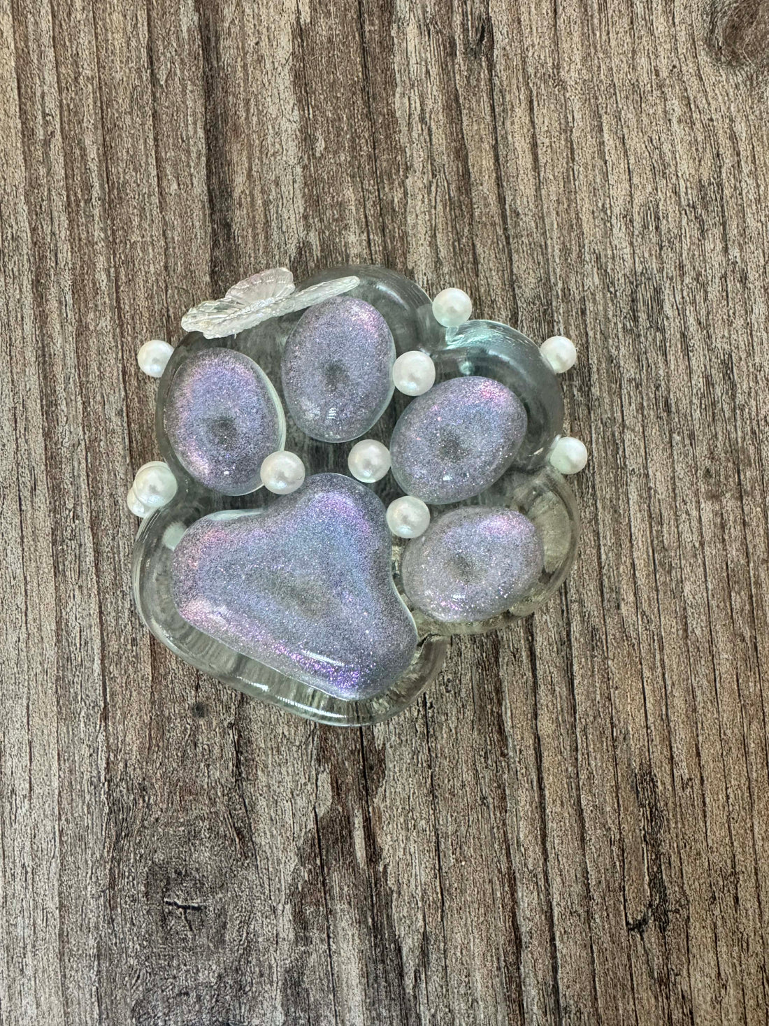 Blue Butterfly Paw Squishy Toy