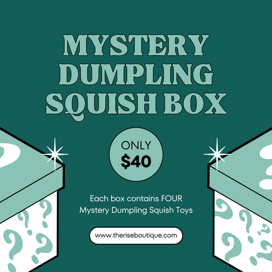 Mystery Dumpling Squish Toy Box