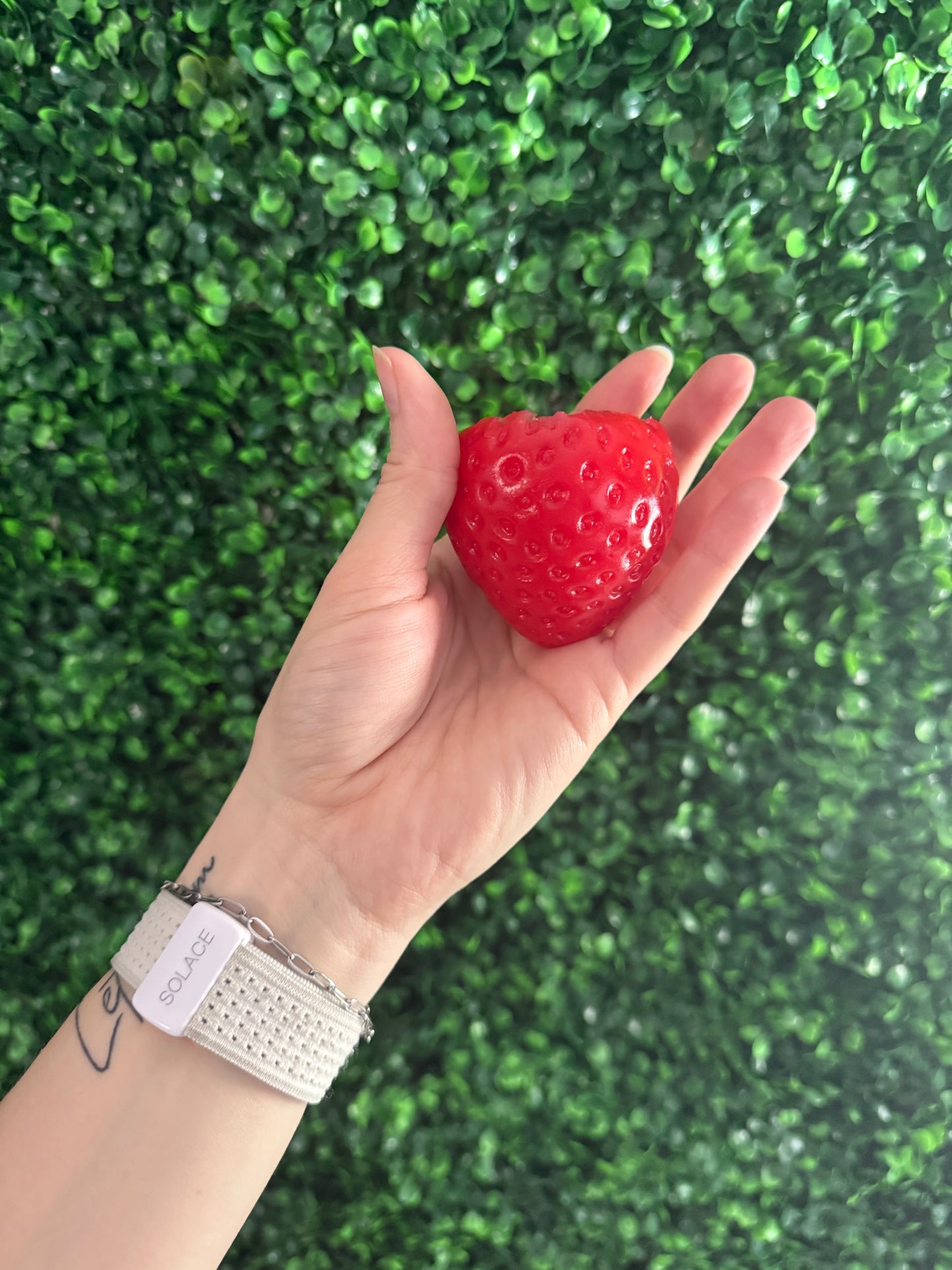 Strawberry Squishy Toy