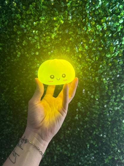 Mystery Light Up Dumpling Squishy