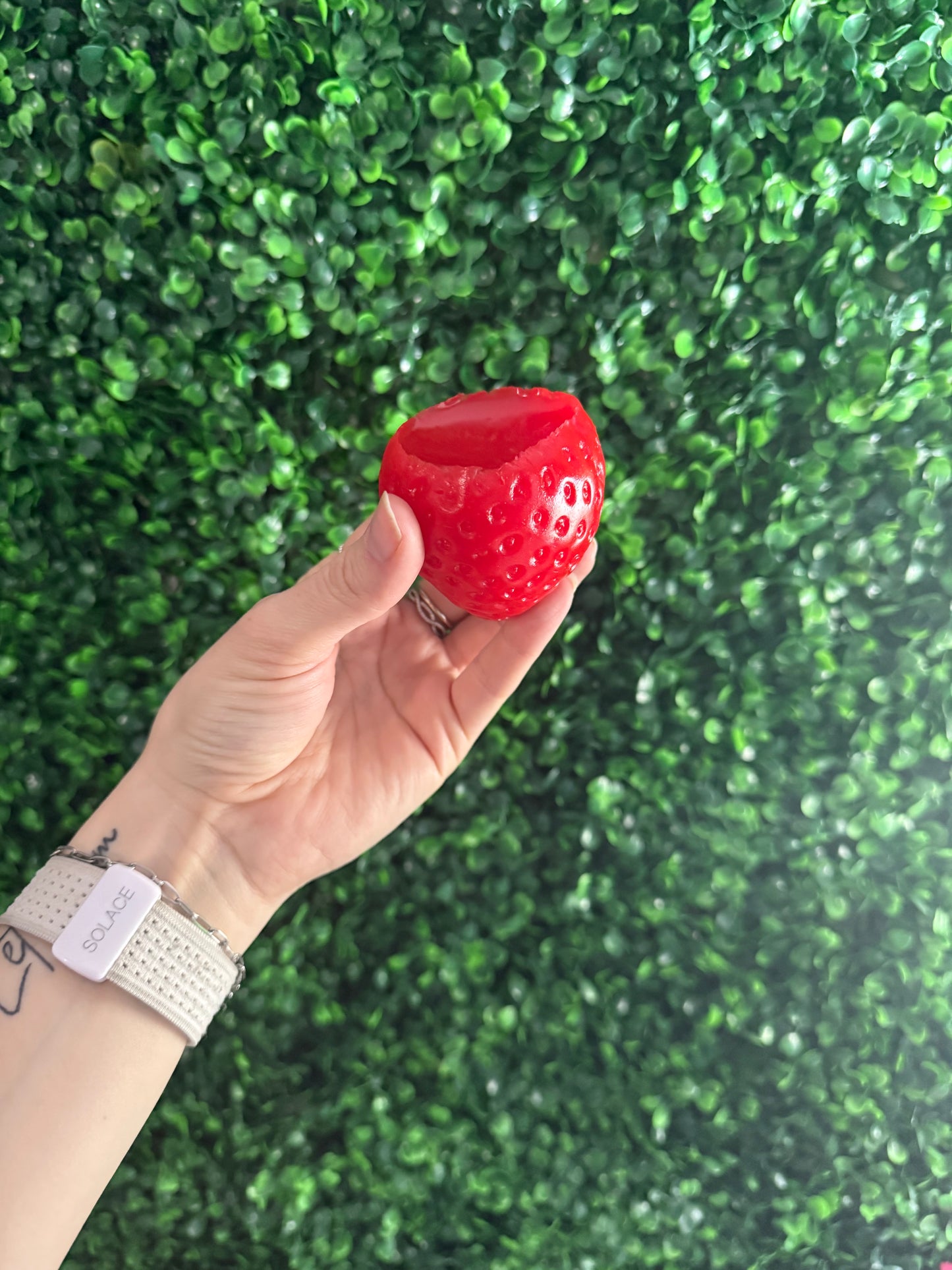 Strawberry Squishy Toy