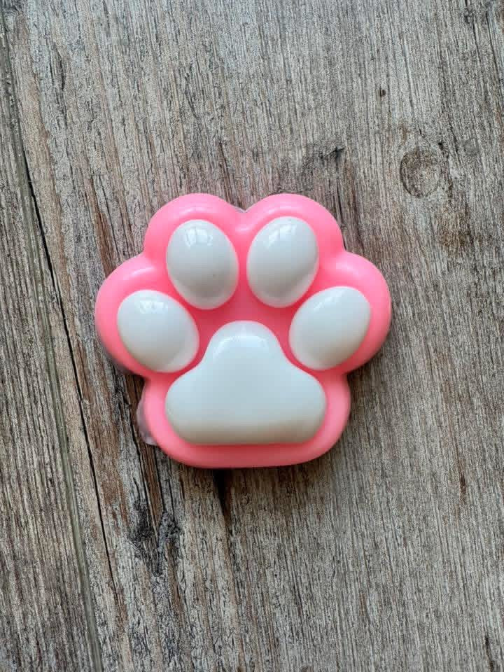 PRE-ORDER Pink Paw Squishy