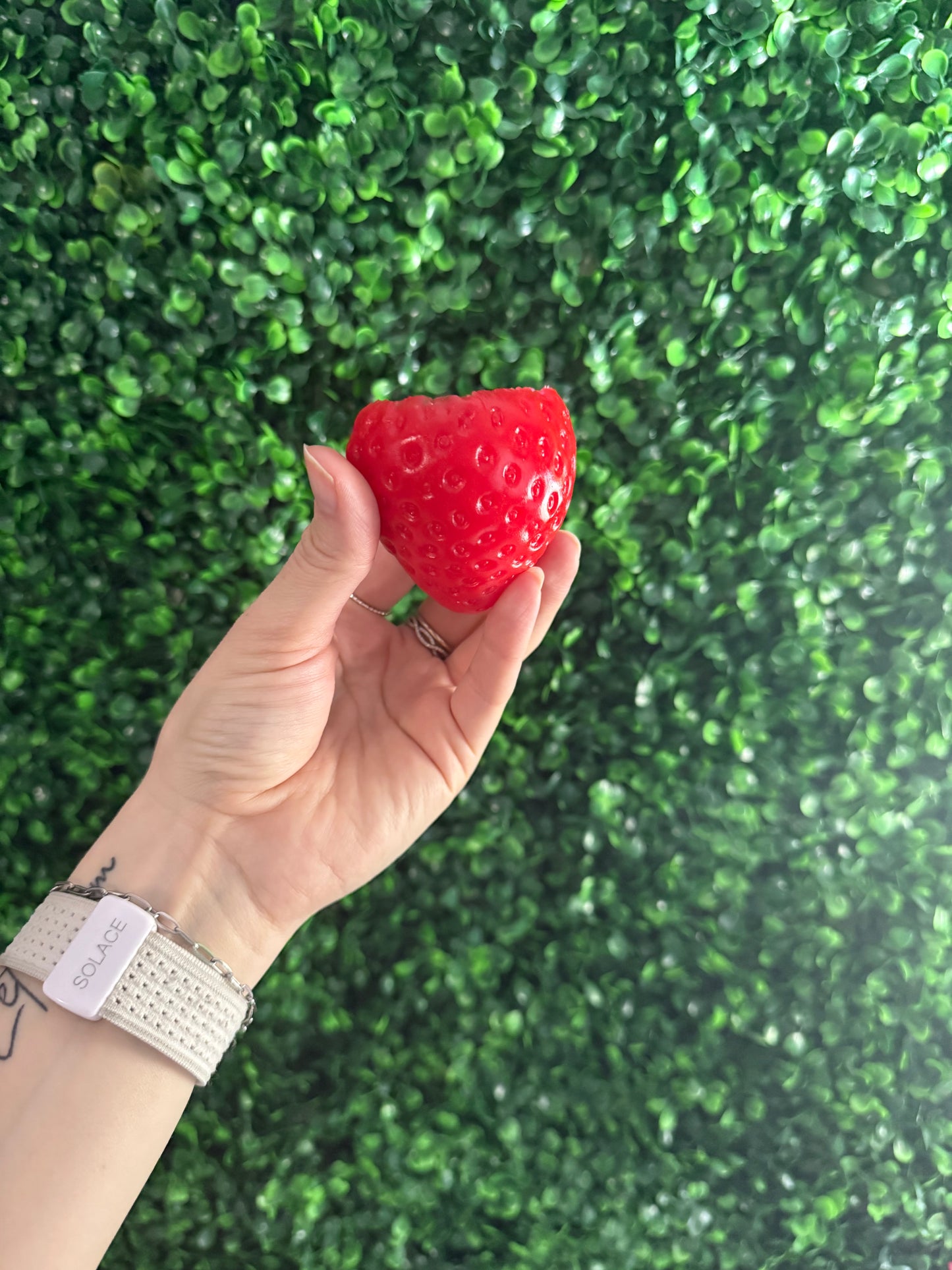 Strawberry Squishy Toy