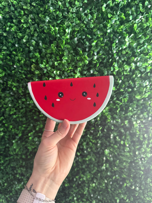 Watermelon Squishy Toy