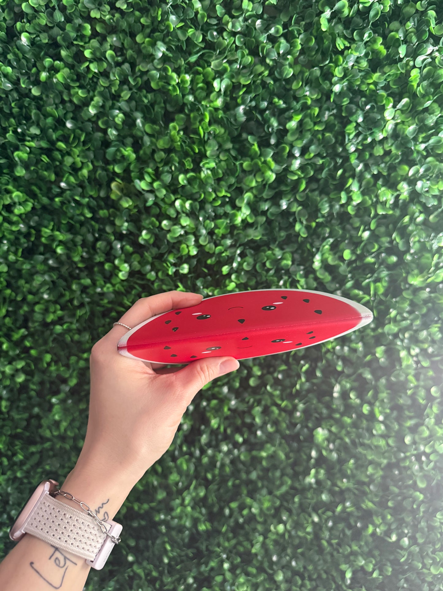 Watermelon Squishy Toy