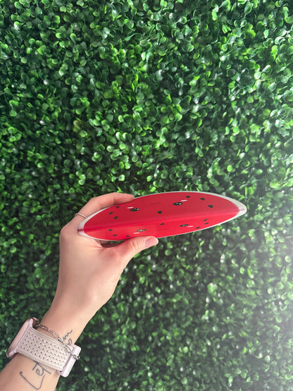 Watermelon Squishy Toy