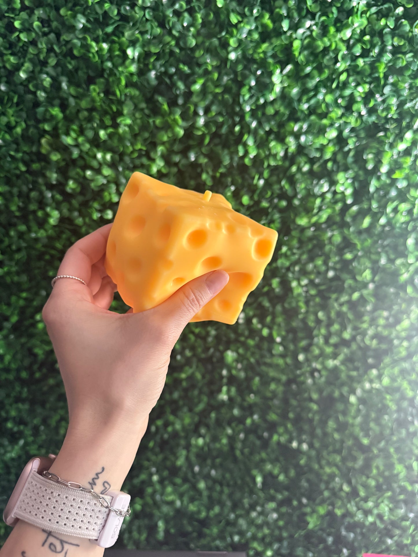 Cheese Squishy Toy