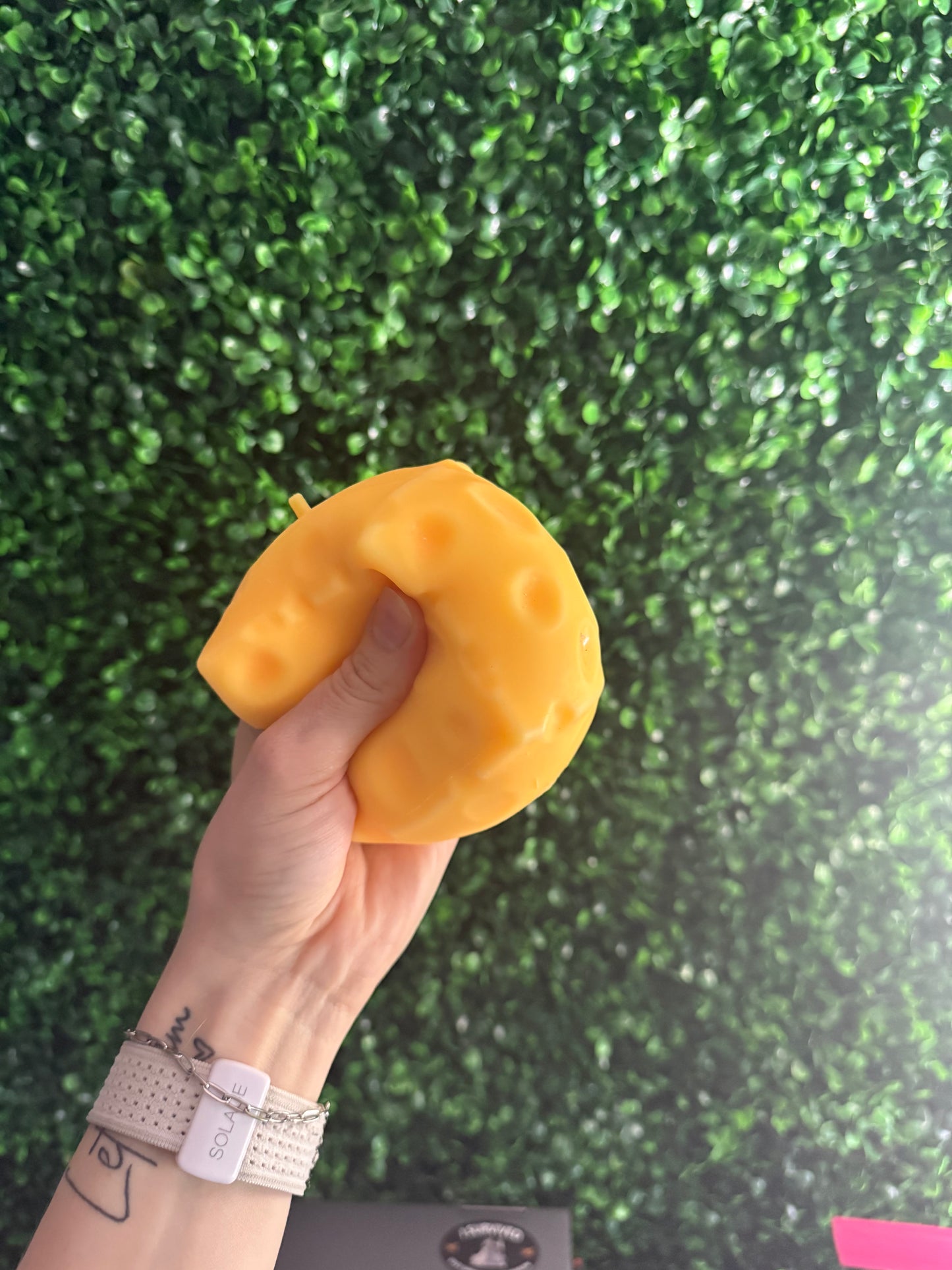 Cheese Squishy Toy
