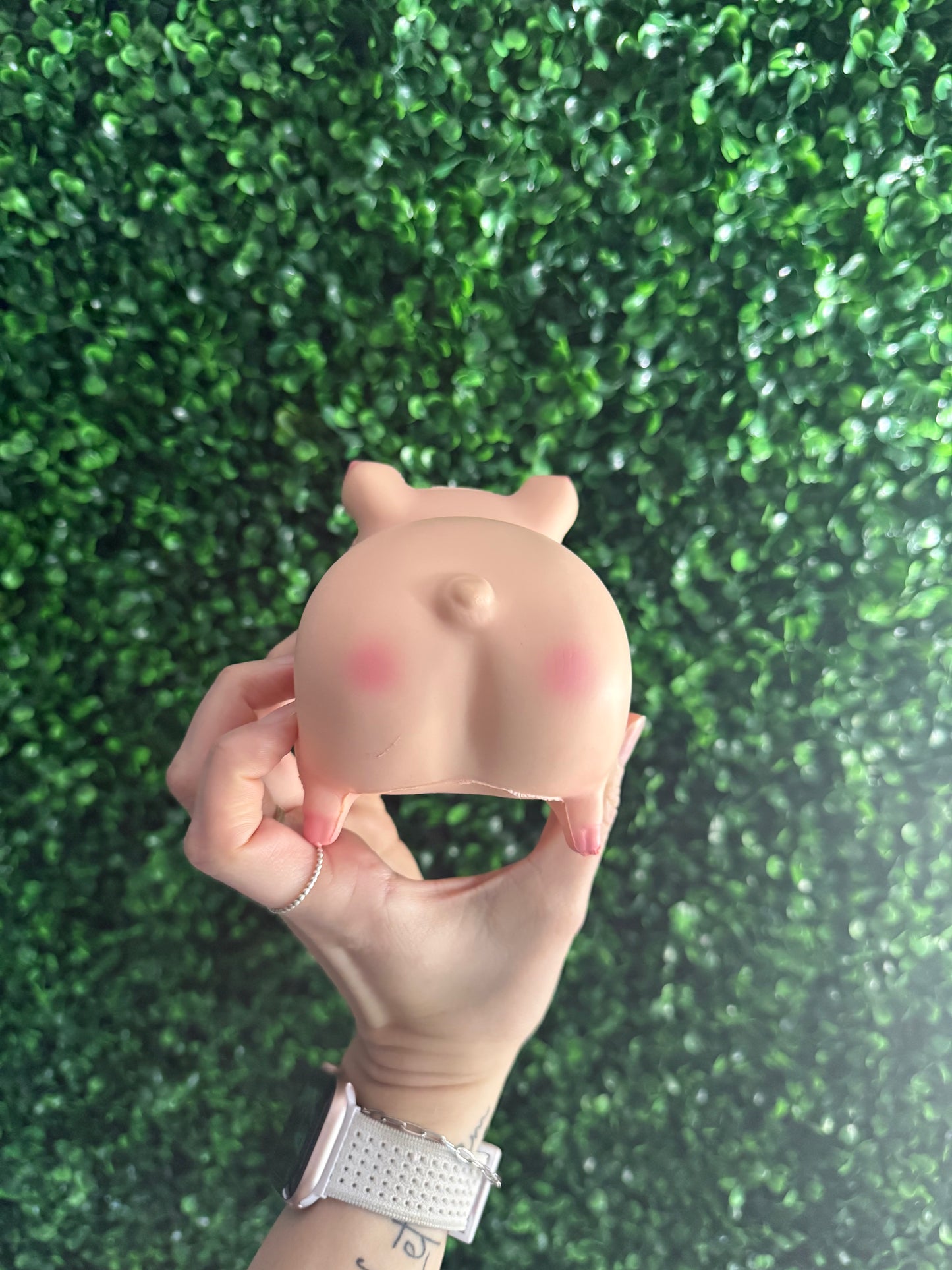 Pig Squishy Toy
