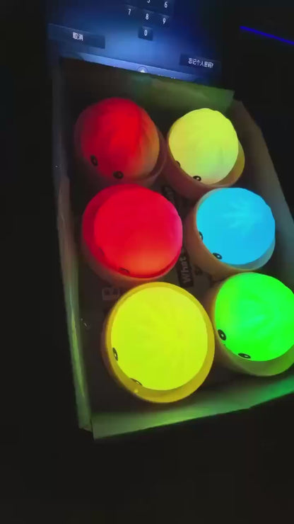 PRE-ORDER Mystery Light Up Dumpling Squishy